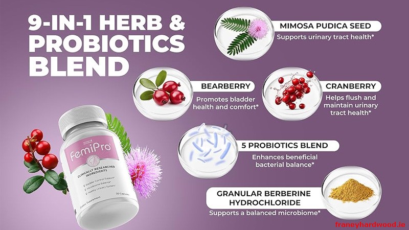 Femipro Key Ingredients Breakdown