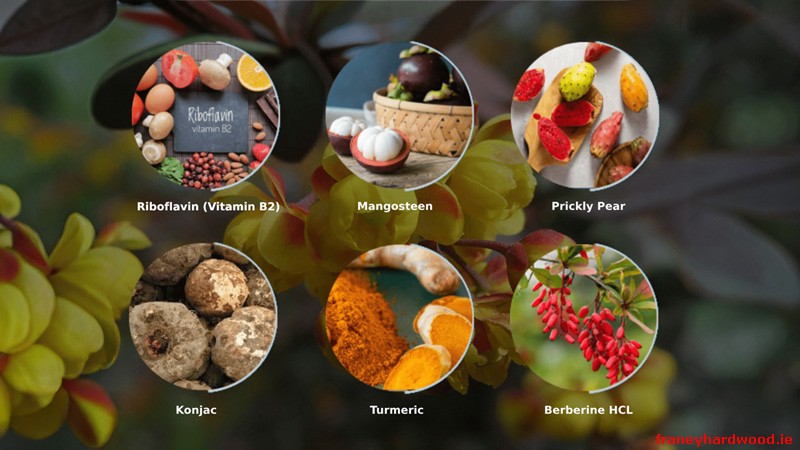 Key Ingredients In Ignitra