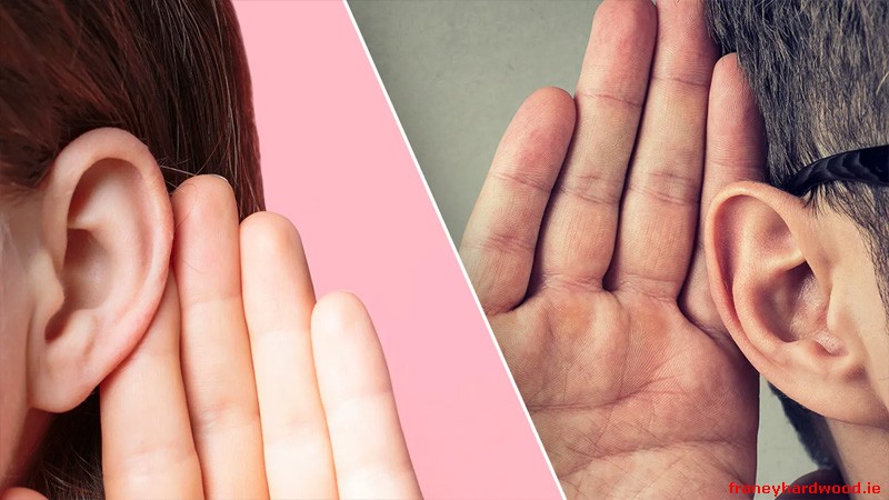 The Zeneara Experience