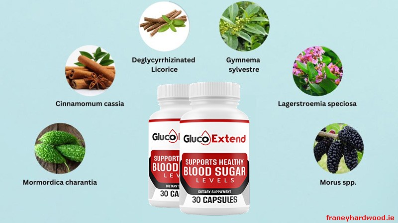Gluco Extend Ingredients Breakdown