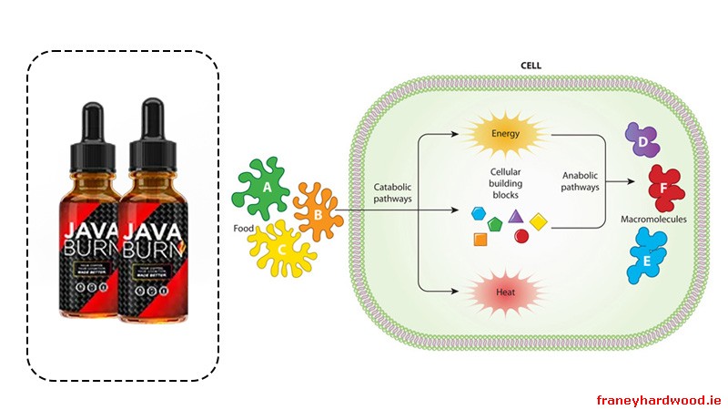 Java Burn 2.0 aims to support metabolism alongside coffee, with gradual effects that depend on diet and consistency.