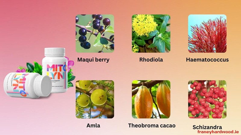 Take Mitolyn daily with water as directed, staying consistent and within the recommended dose.