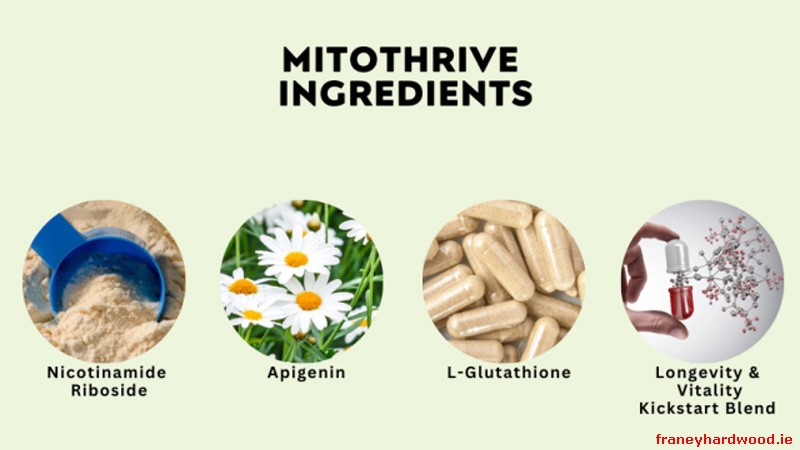 Mitothrive ingredient list for NAD+ and metabolism