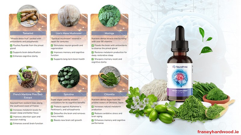 Visual representation of improved mental clarity and cognitive health with NeuroPrime.