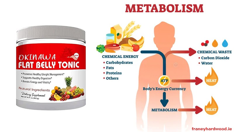 Okinawa Flat Belly Tonic supports metabolism and digestion gradually by fitting into daily routines, not by forcing rapid changes.