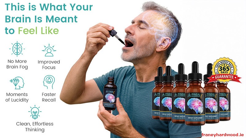 Pineal Guardian X vs Store-Bought Nootropics – Key Differences