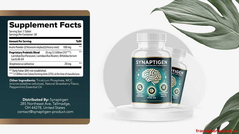 Deep Dive into Synaptigen Ingredients